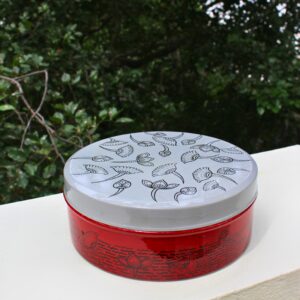 Steel Painted Box